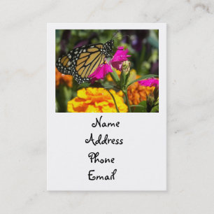 Carte De Visite Papillon monarque sur marigold-carte de visite ros