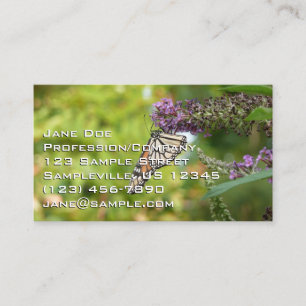 Carte De Visite Papillon Monarque sur papillon pourpre Bush
