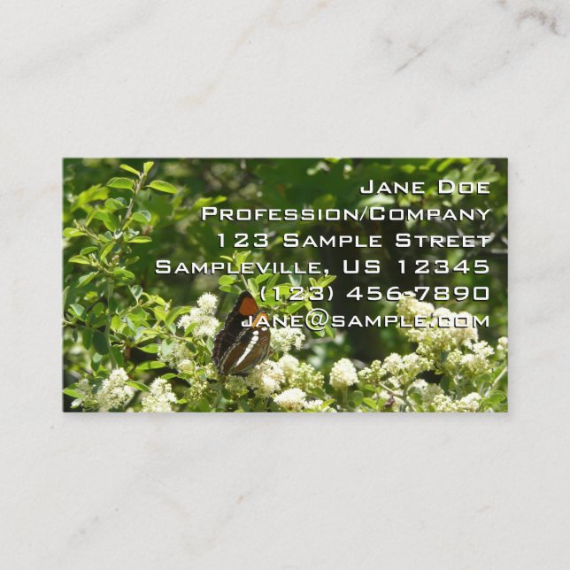 Carte De Visite Papillon-soeur de Californie en Yosemite (Devant)