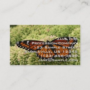 Carte De Visite Papillon Viceroy Belle photographie de la nature