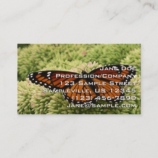 Carte De Visite Papillon Viceroy Belle photographie de la nature (Devant)