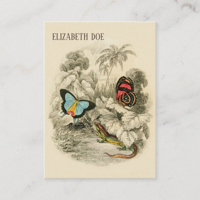 Carte De Visite Papillons dans la forêt tropicale - Écrivain de la (Devant)
