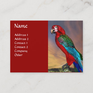 CARTE DE VISITE PARROS HYPER / ARBE ROUGE