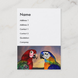 CARTE DE VISITE PARROS HYPER / ARBRE ROUGE ET BLEU BLANC