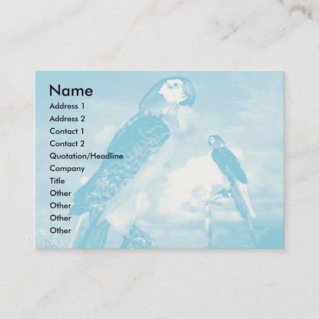 CARTE DE VISITE PARROS HYPER / BLEUE ARA (Devant)