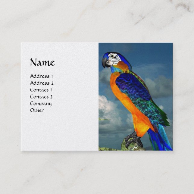 Carte De Visite PARROTS HYPER / BLEUE ARA Livre blanc Pearle (Devant)