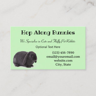 Carte De Visite Pastel Green Mini Lop Bunny Rabbit éleveur