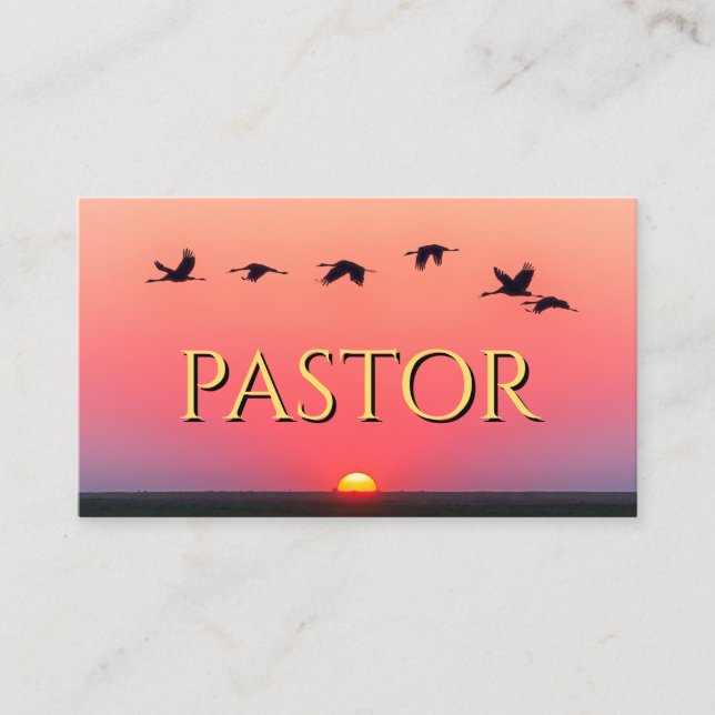 Carte De Visite Pasteur de l'église Sunset Birds Rose Christian (Devant)