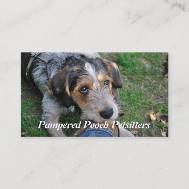 Carte De Visite Pathétique de chien petsitting (Devant)