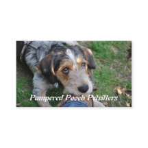 Pathétique de chien petsitting