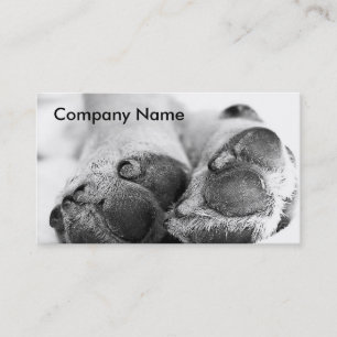 Carte De Visite Pattes de chien