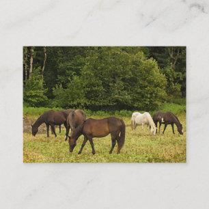 Carte De Visite Pâturage de l'ATC de chevaux