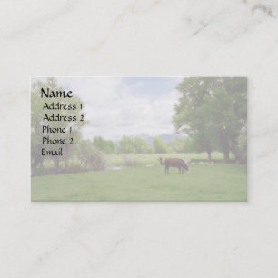 Carte De Visite Pâturage des bétail v3