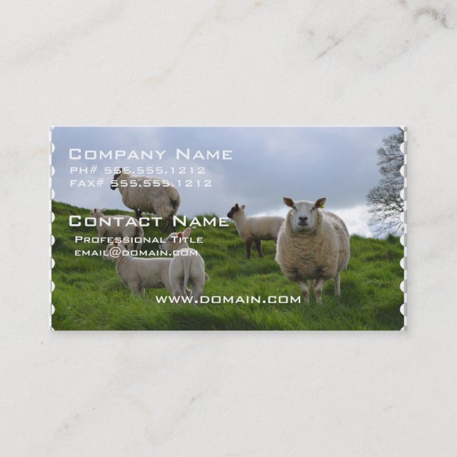 Carte De Visite Pâturage des moutons (Devant)