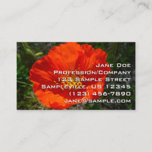 Carte De Visite Pavot rouge de l'Alaska Fleur colorée