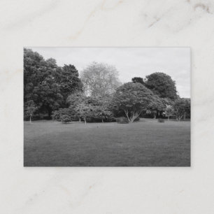Carte De Visite Paysage du parc