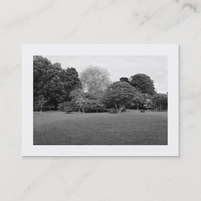 Carte De Visite Paysage du parc (bordé) (Devant)