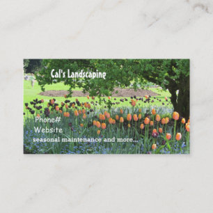 Carte De Visite Paysage La Scène Du Jardin