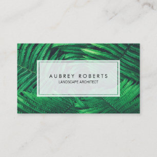 Carte De Visite Paysage naturel Architecte Fern Plantes