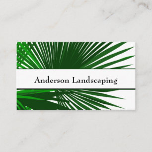 Carte De Visite Paysage Parking Palm Tree Tropical