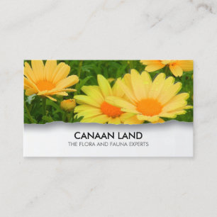 Carte De Visite Paysagiste Aménageur Jardinier