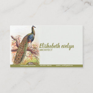 Carte De Visite Peacock Art Vintage