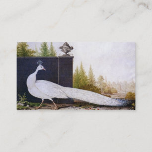 Carte De Visite Peacock blanc