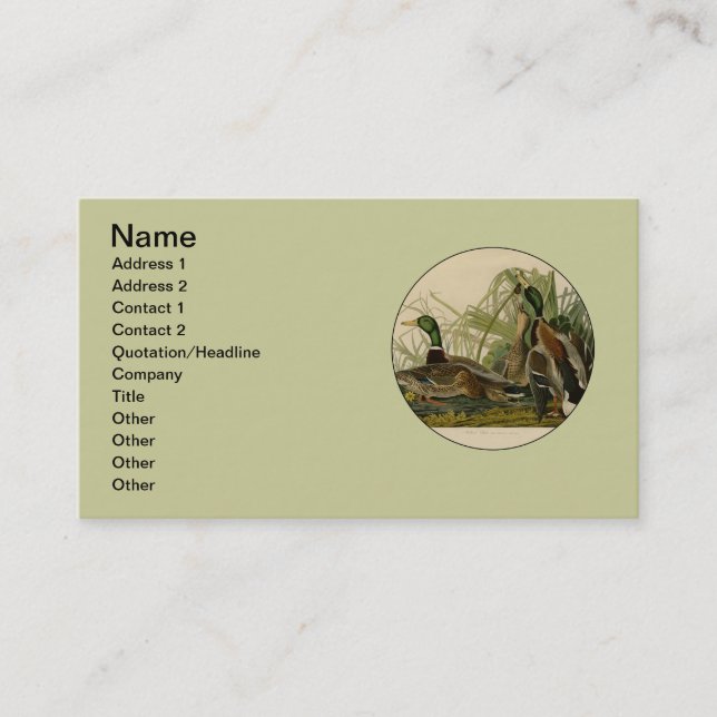Carte De Visite Peinture d'oiseaux de Mallard Duck Audubon (Devant)
