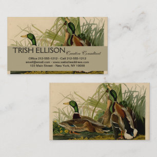 Carte De Visite Peinture d'oiseaux de Mallard Duck Audubon