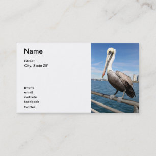 Carte De Visite Pélican
