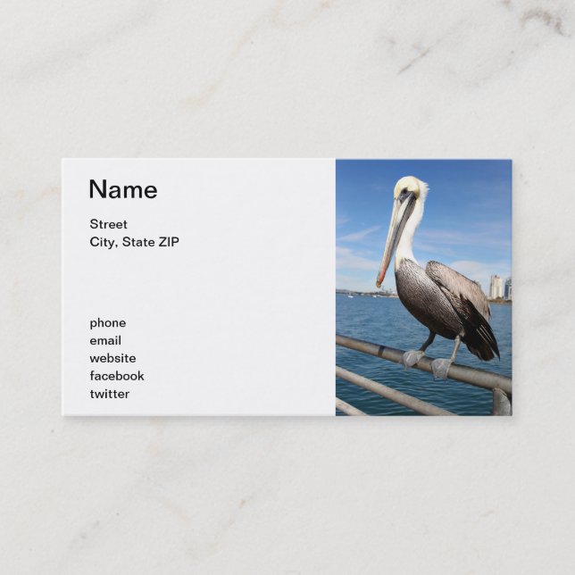 Carte De Visite Pélican (Devant)