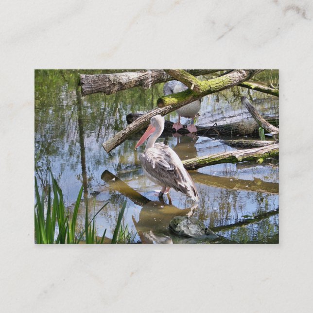 CARTE DE VISITE PELICAN (Devant)
