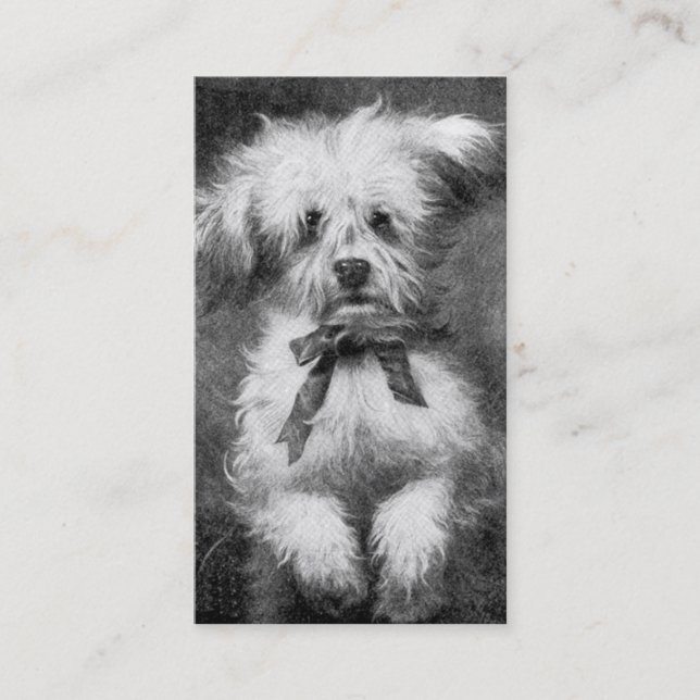 Carte de visite pelucheux de chien (Devant)