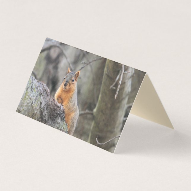 Carte De Visite Pénal (Devant)