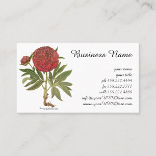 Carte De Visite Peonies vintages, Fleurs de pivoines par Basilius 