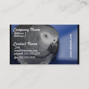Carte De Visite Perroquet gris