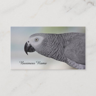 Carte De Visite Perroquet magnifique de gris africain
