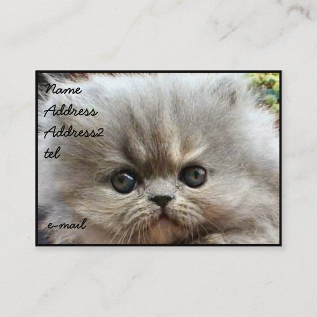 Carte de visite persan de chaton grand (Devant)
