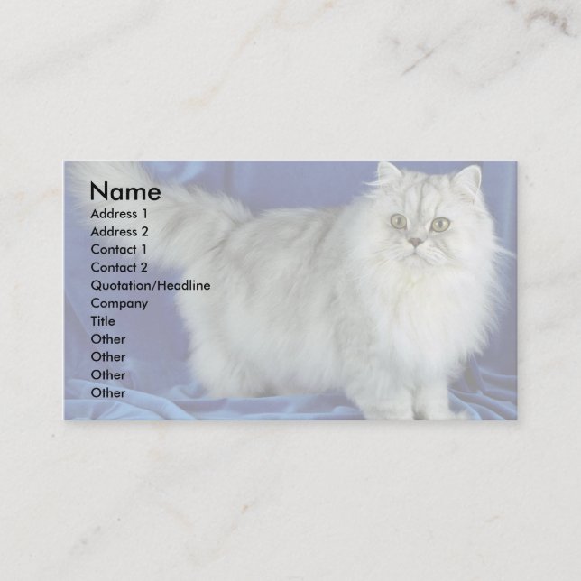 Carte De Visite Persan, étain (Devant)