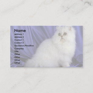 Carte De Visite Perse, chinchilla