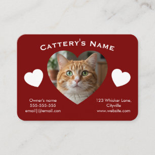 Carte de visite personnalisable pour chatterie