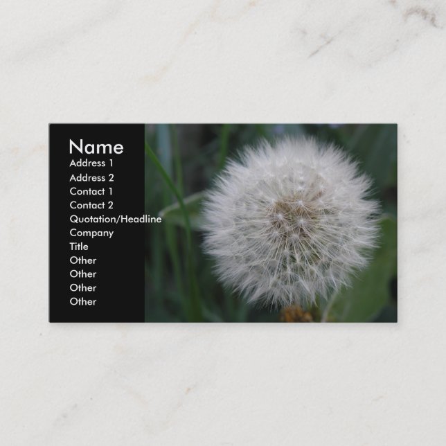 Carte de visite personnalisé de la fleur de Dandel (Devant)
