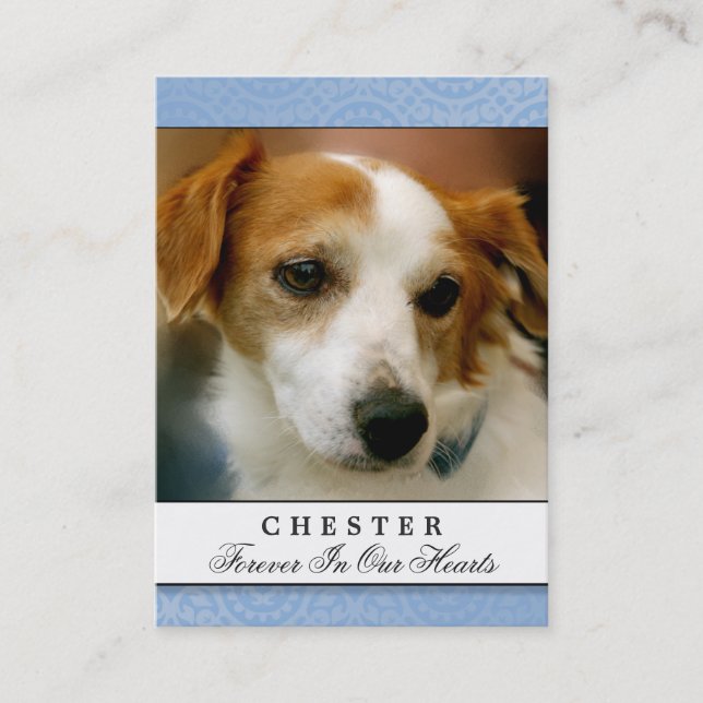 Carte De Visite Pet Memorial Card Bleu clair Poème Contesté (Devant)