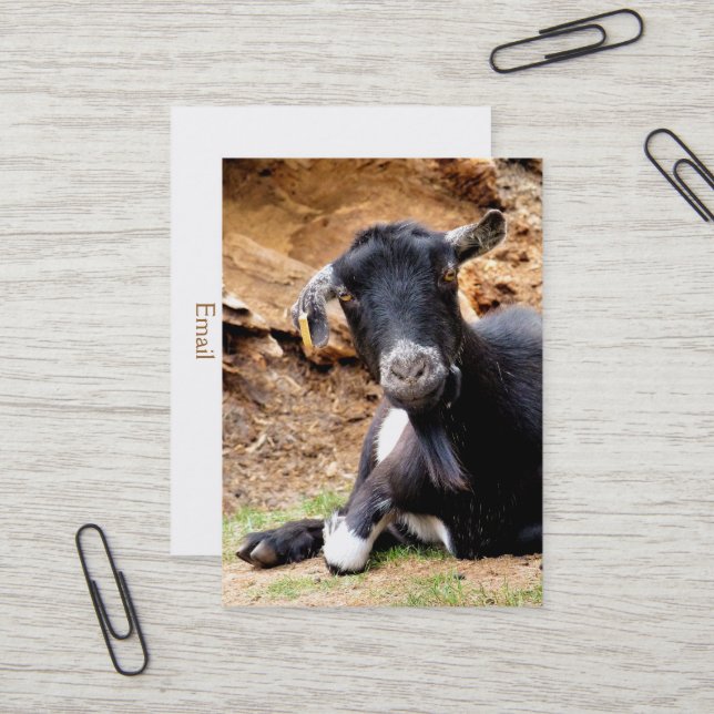 CARTE DE VISITE PETITE CHÈQUE CUITE (Devant/Arrière en situation)