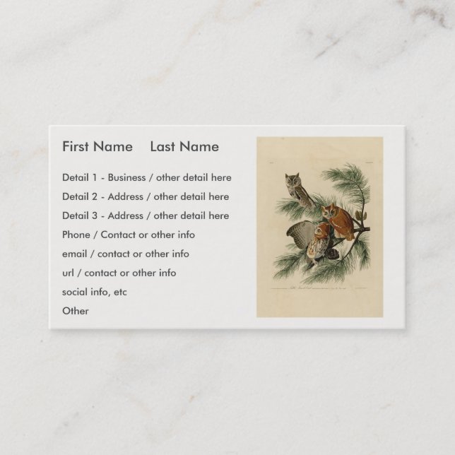 Carte De Visite Petite chouette à cris des oiseaux d'Amérique d'Au (Devant)