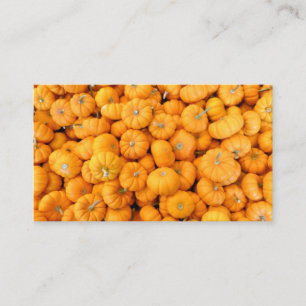 Carte De Visite Petits Citrouilles de récolte de automne orange