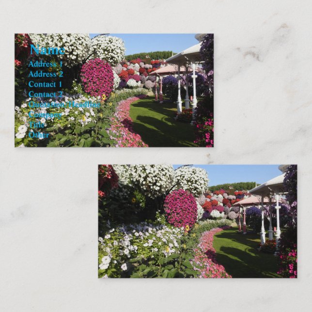 Carte de visite Petunias (Devant / Derrière)