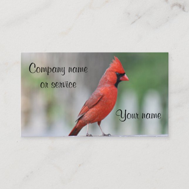 Carte De Visite Photo cardinale (Devant)