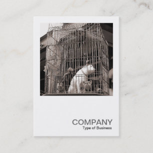 Carte De Visite Photo carré 0122 - Bêtes en cage