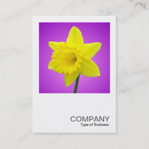 Carte De Visite Photo carré 012 - Daffodil
